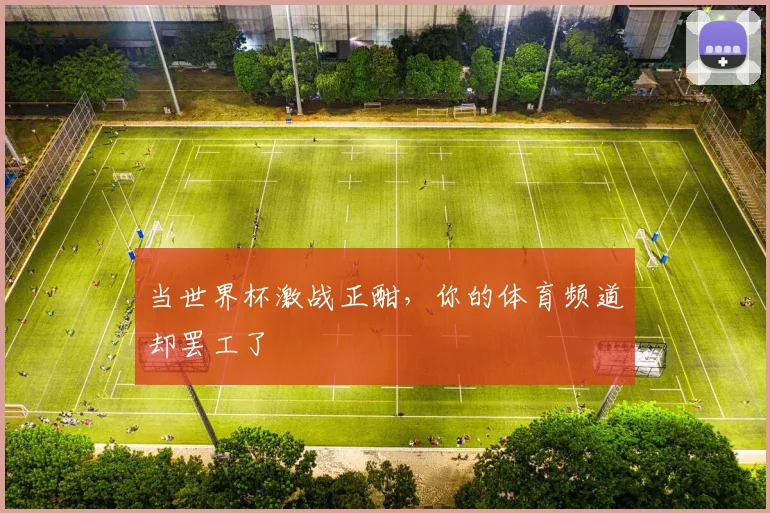 当世界杯激战正酣，你的体育频道却罢工了