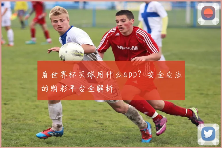 看世界杯买球用什么app?安全合法的购彩平台全解析