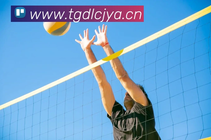 乐鱼网页版直接进入APP 体育赛事宣传图